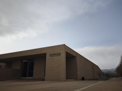 小城何故朝气蓬勃丨申遗成功的西夏陵带旺西夏